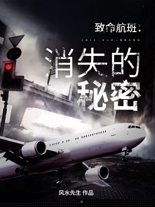 致命航班：消失的秘密