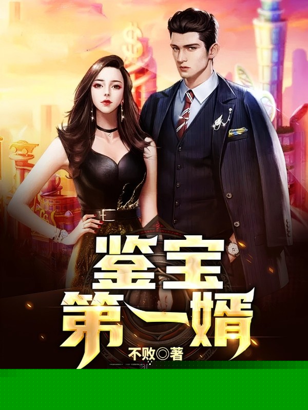 鉴宝第一婿