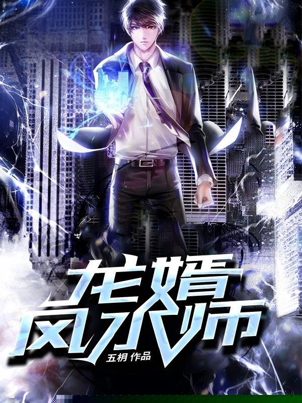龙婿风水师